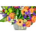 Bouquet of orange flowers